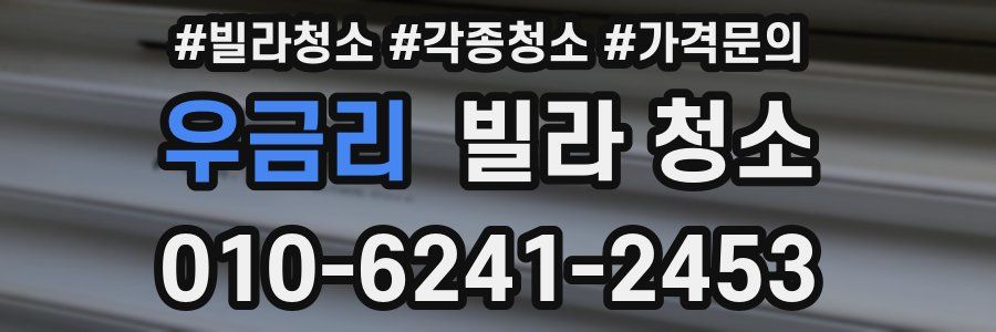 우금리 빌라 청소