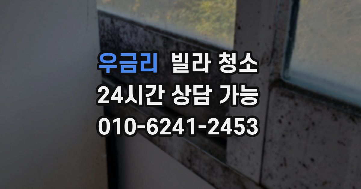 우금리 빌라 청소