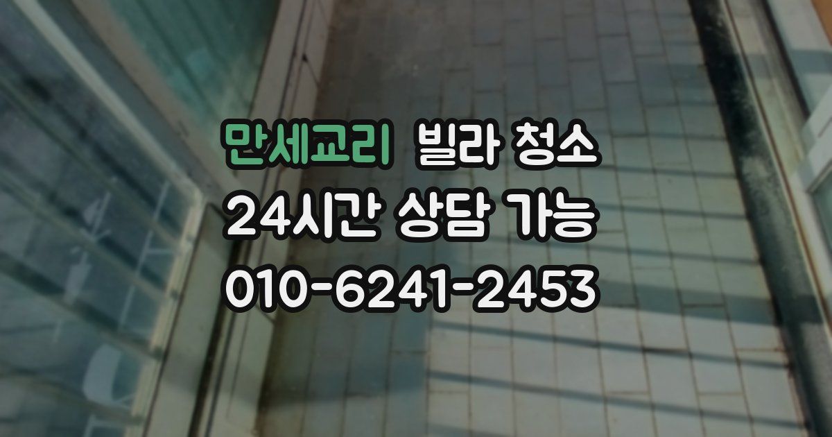 만세교리 빌라 청소