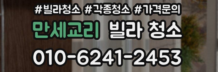 만세교리 빌라 청소