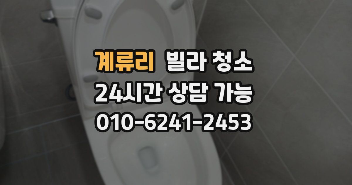 계류리 빌라 청소