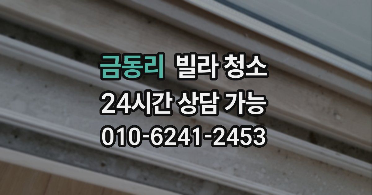 금동리 빌라 청소