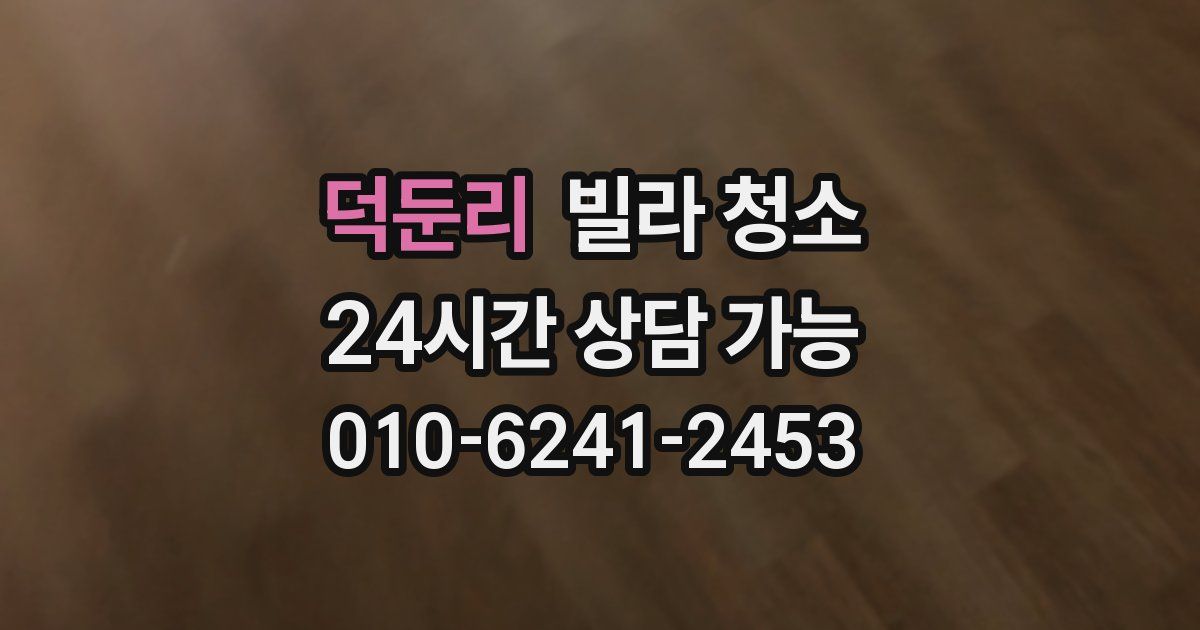 덕둔리 빌라 청소