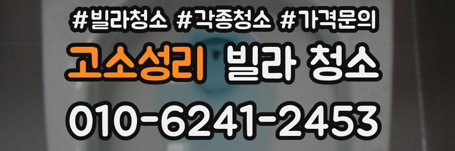 고소성리 빌라 청소