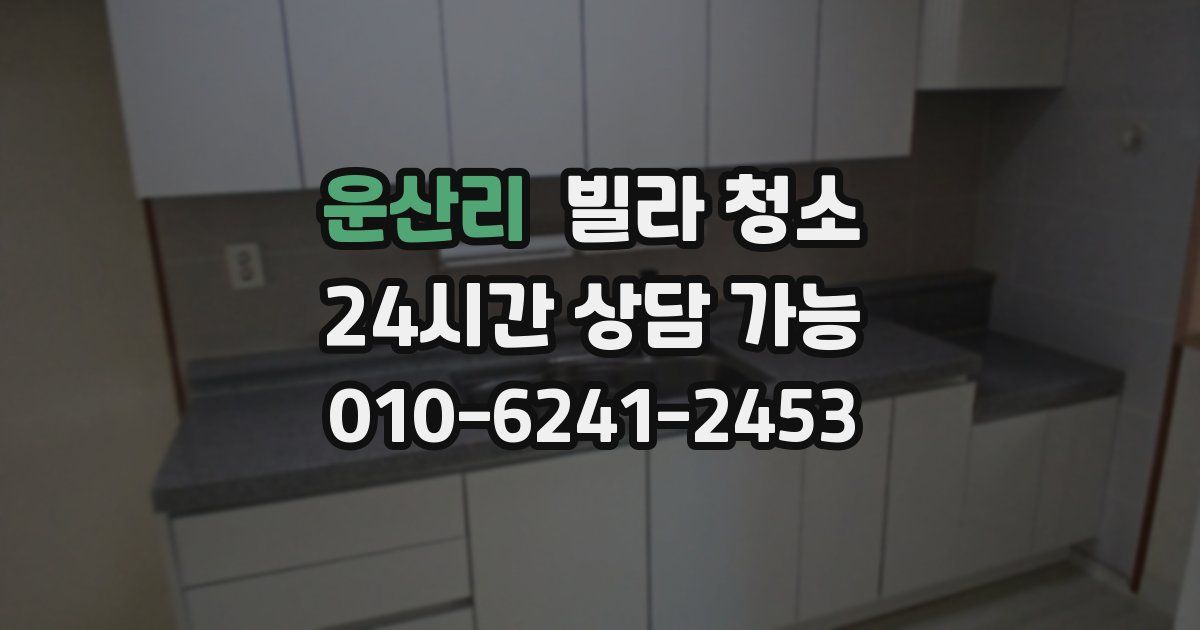 운산리 빌라 청소