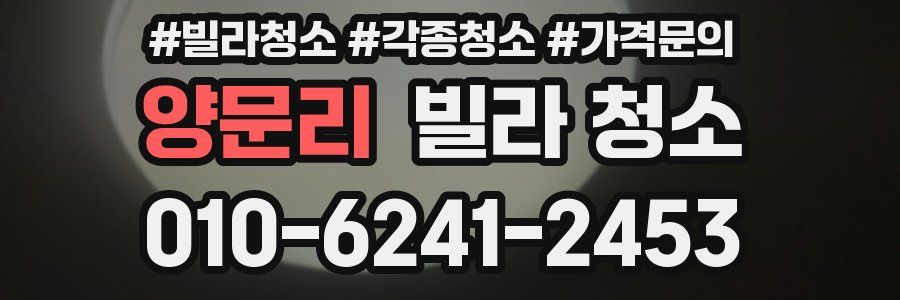 양문리 빌라 청소