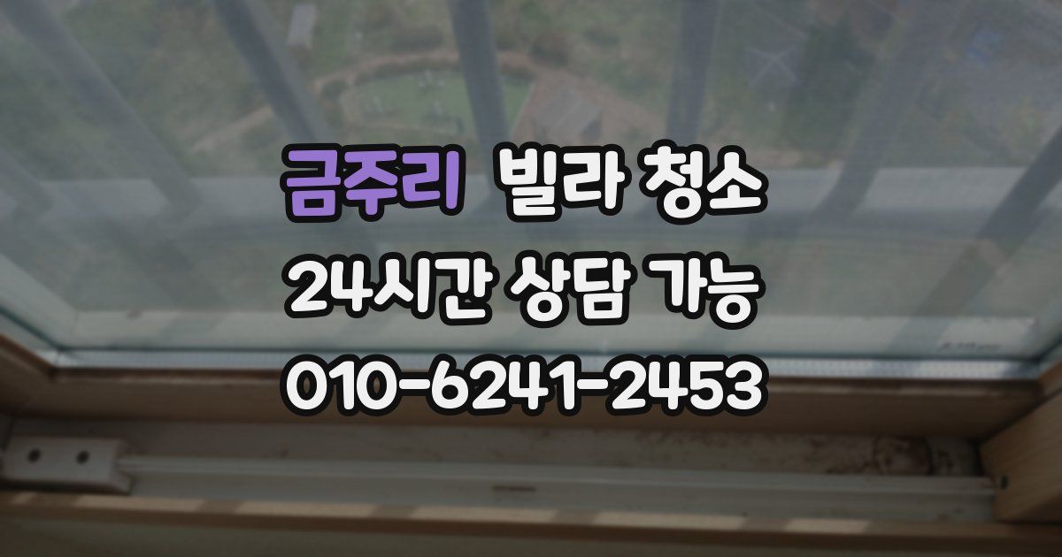 금주리 빌라 청소