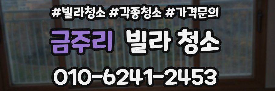 금주리 빌라 청소