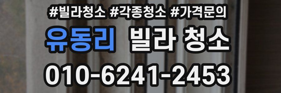 유동리 빌라 청소