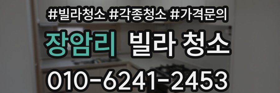 장암리 빌라 청소