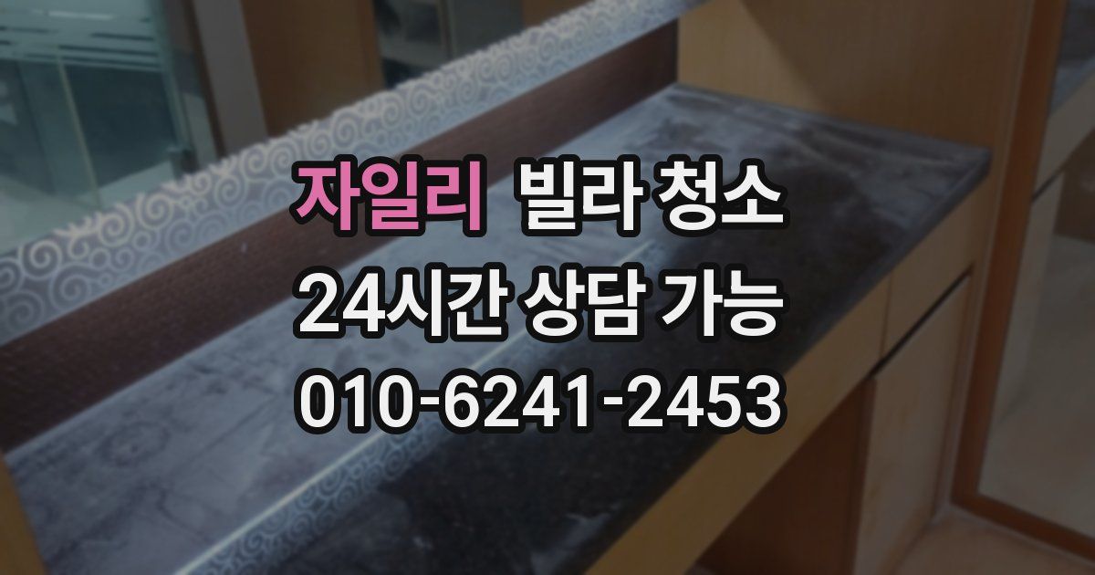 자일리 빌라 청소