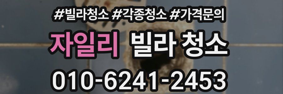 자일리 빌라 청소