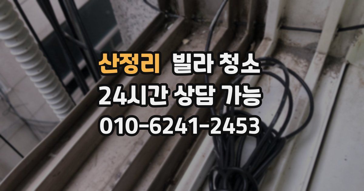 산정리 빌라 청소