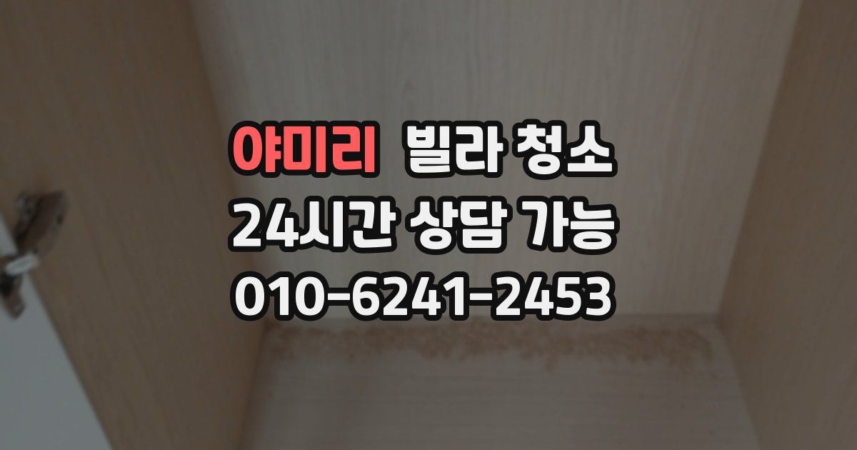 야미리 빌라 청소