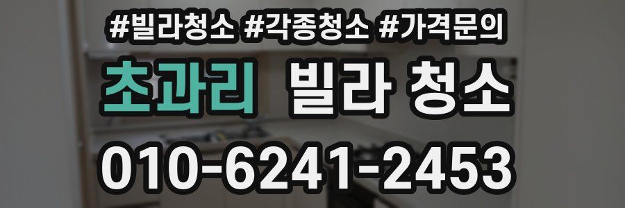 초과리 빌라 청소