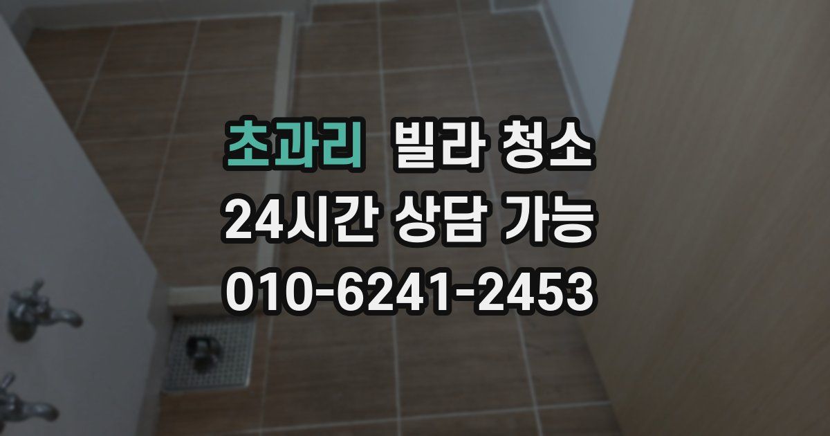 초과리 빌라 청소