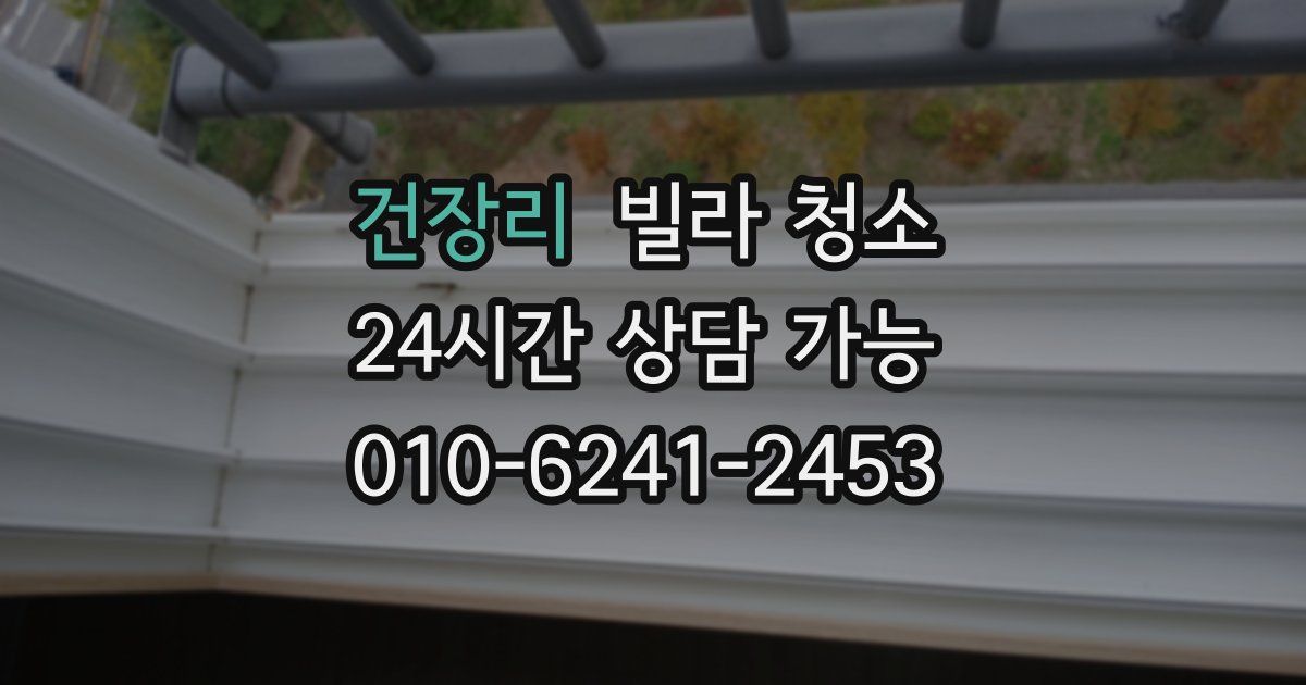 건장리 빌라 청소