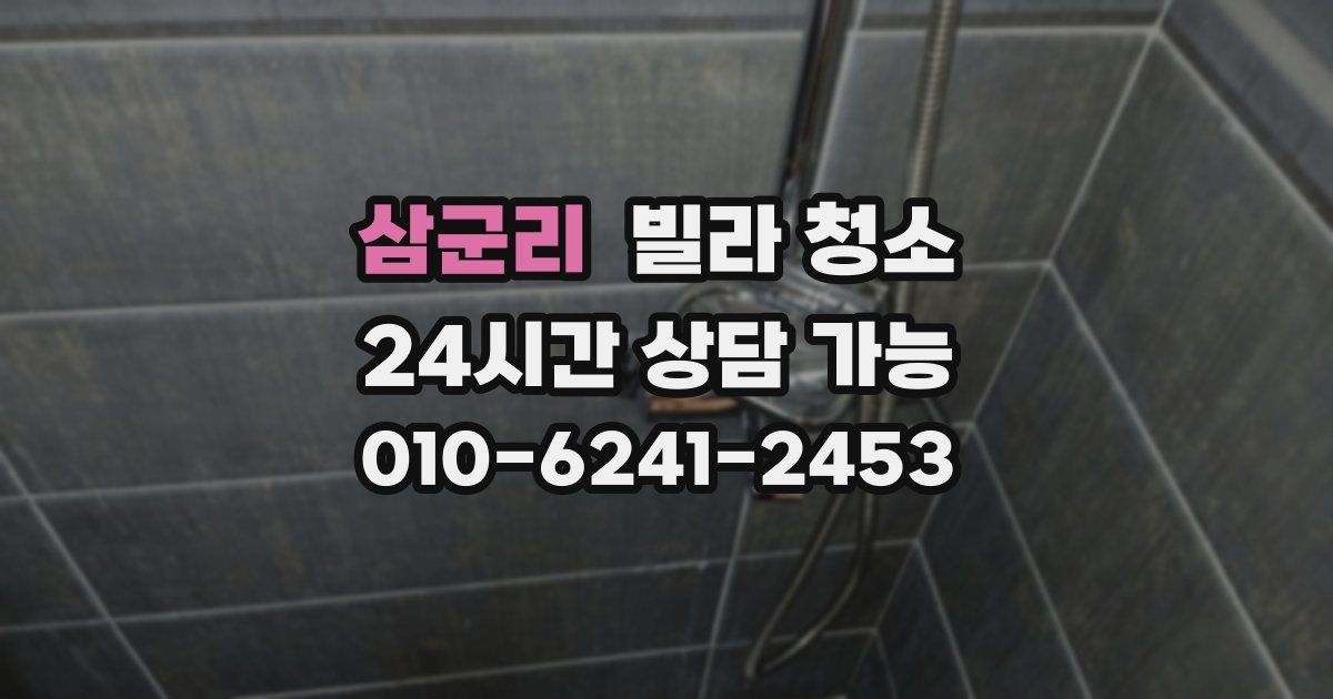 삼군리 빌라 청소