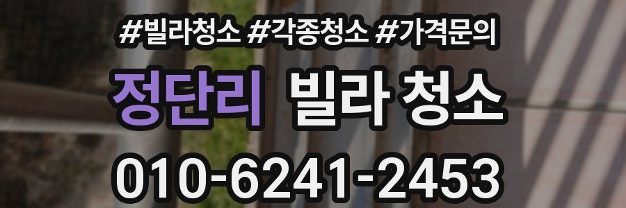 정단리 빌라 청소