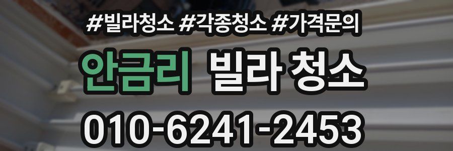 안금리 빌라 청소