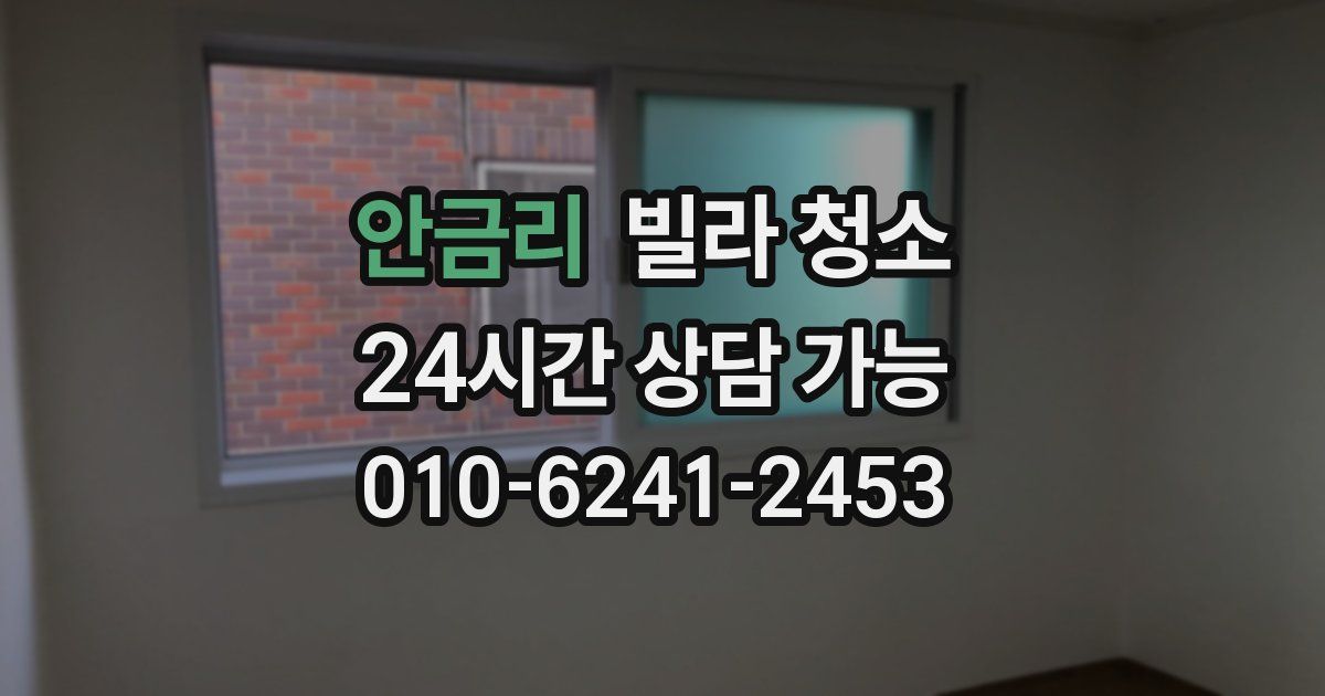 안금리 빌라 청소