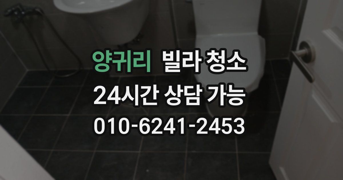 양귀리 빌라 청소