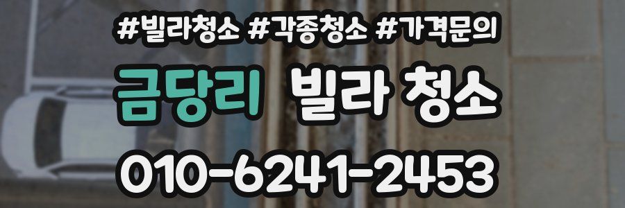 금당리 빌라 청소
