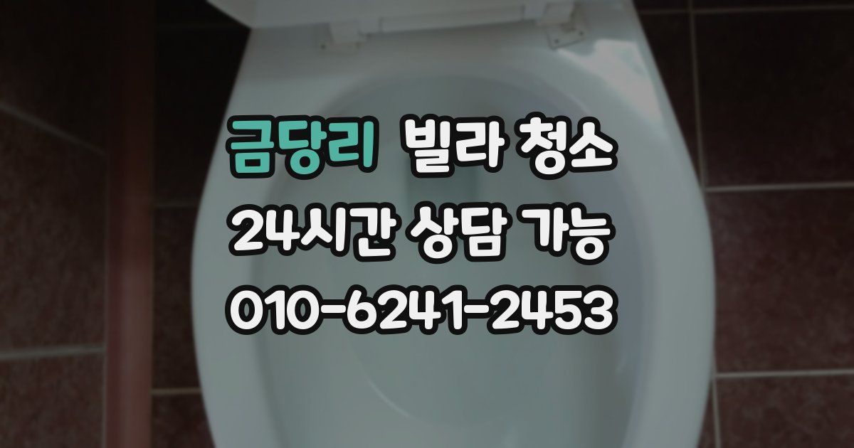 금당리 빌라 청소