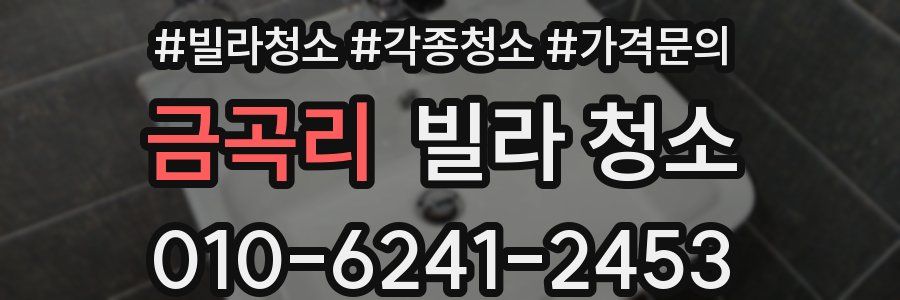 금곡리 빌라 청소