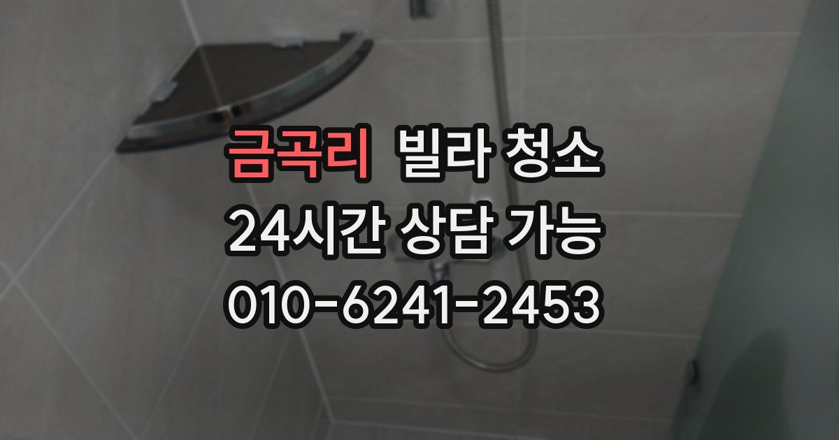 금곡리 빌라 청소