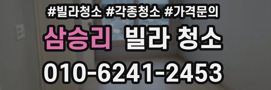 삼승리 빌라 청소