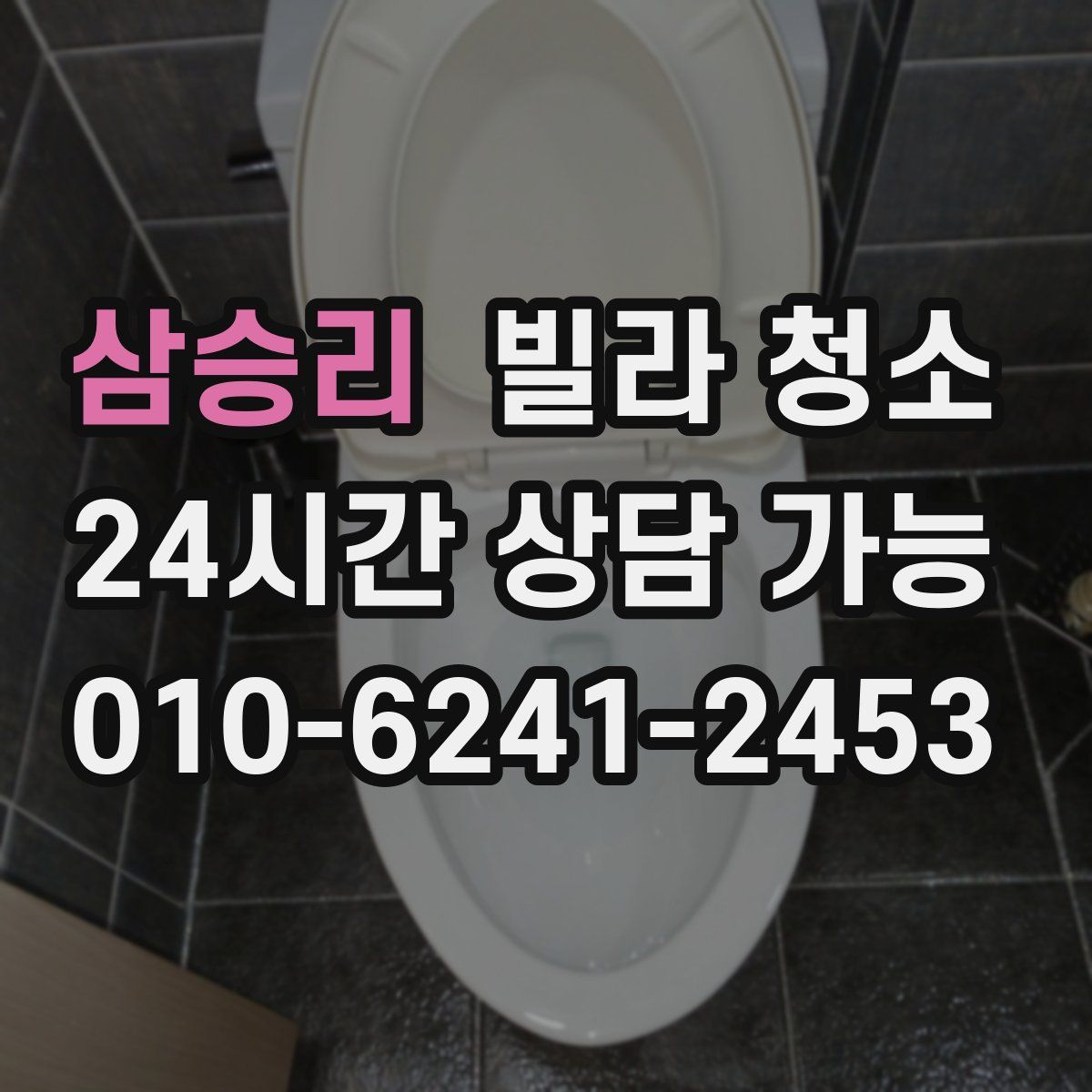 삼승리 빌라 청소