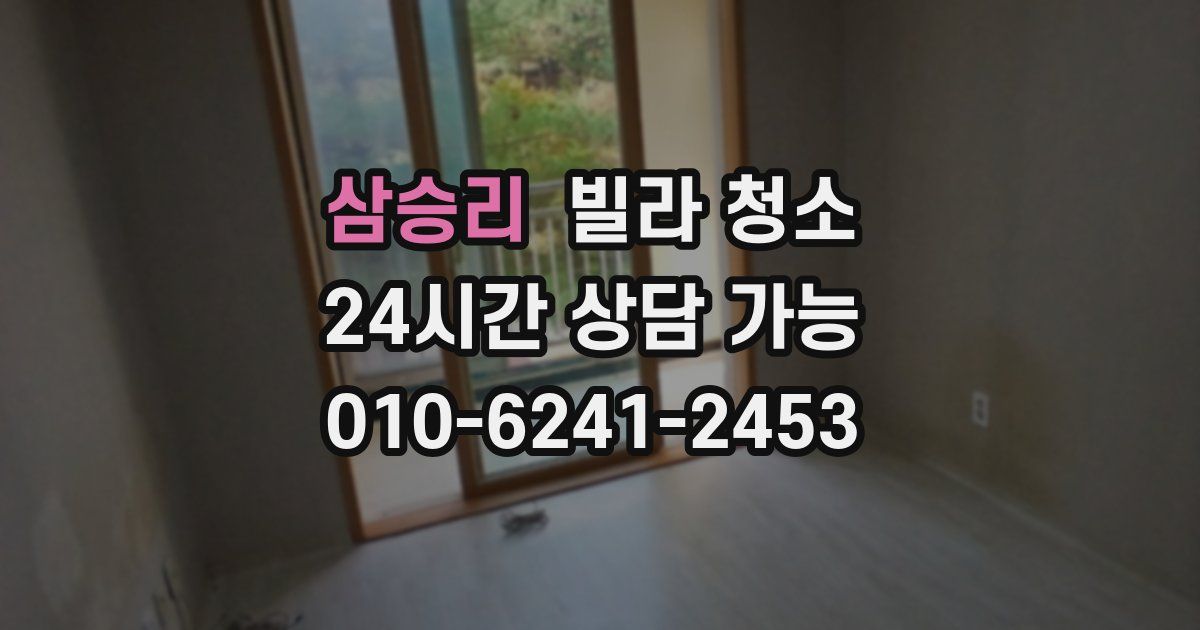 삼승리 빌라 청소