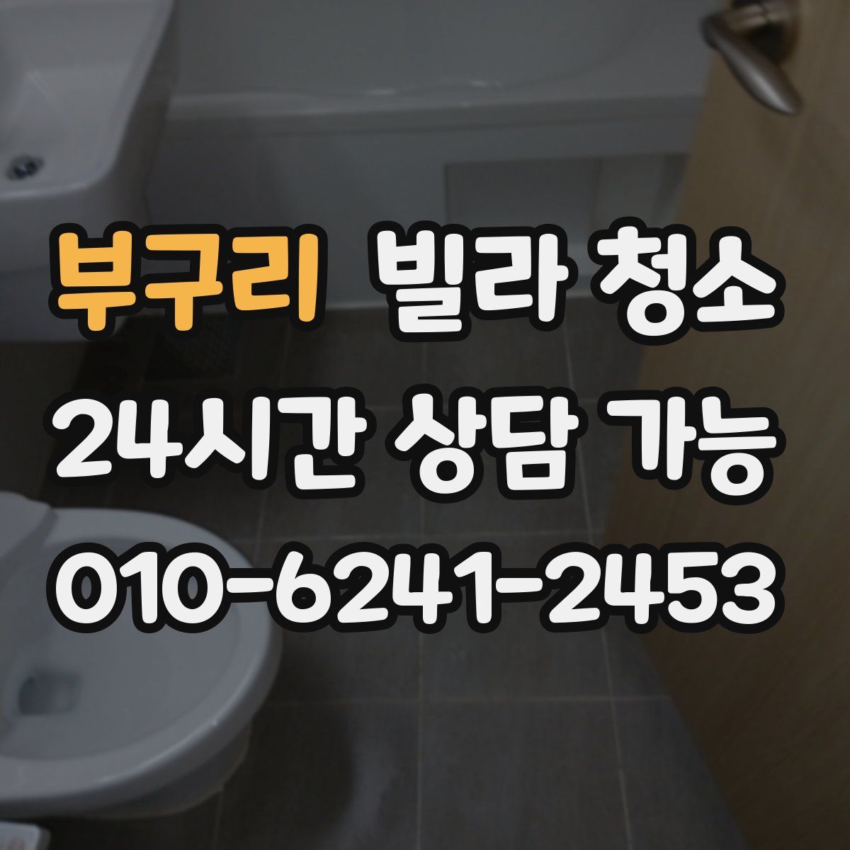 부구리 빌라 청소