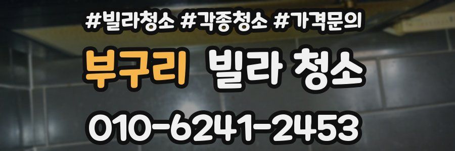 부구리 빌라 청소