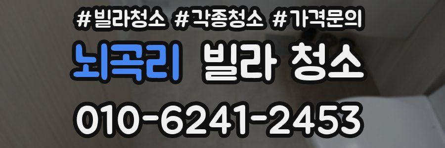 뇌곡리 빌라 청소