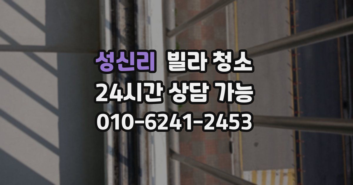 성신리 빌라 청소