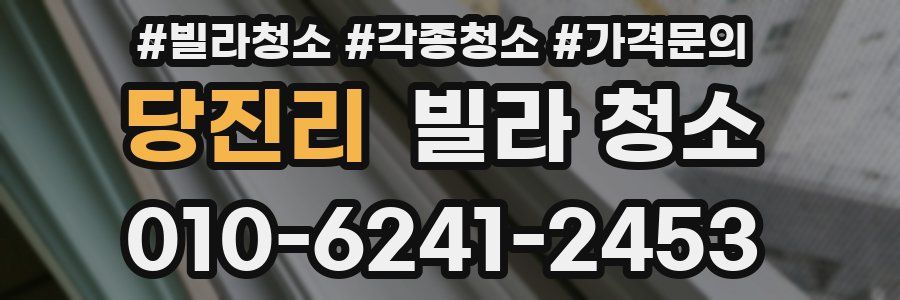 당진리 빌라 청소