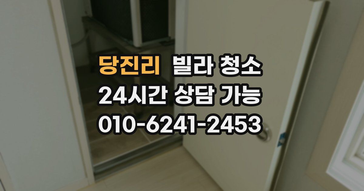 당진리 빌라 청소