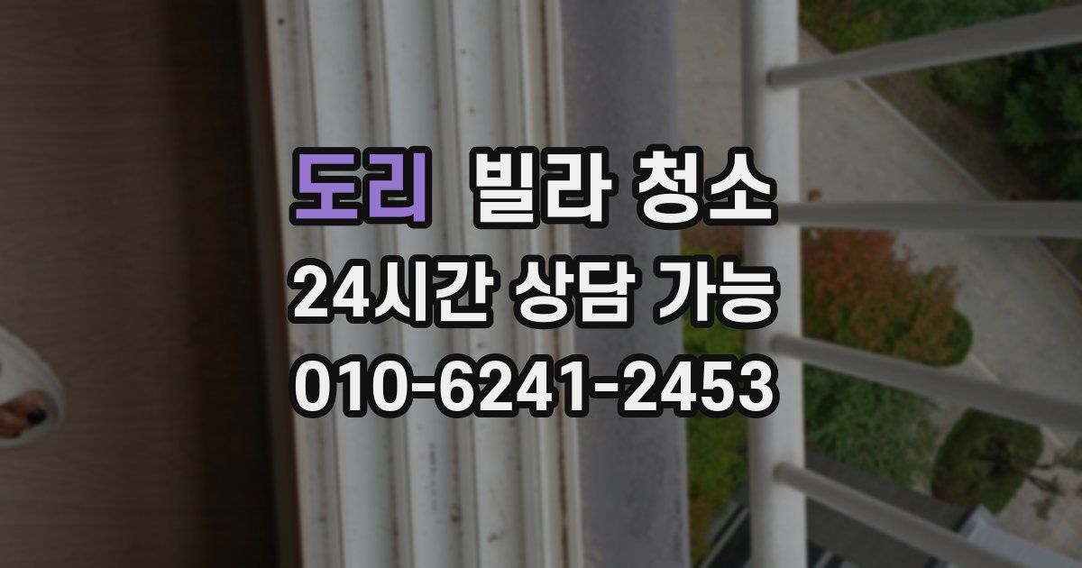 도리 빌라 청소