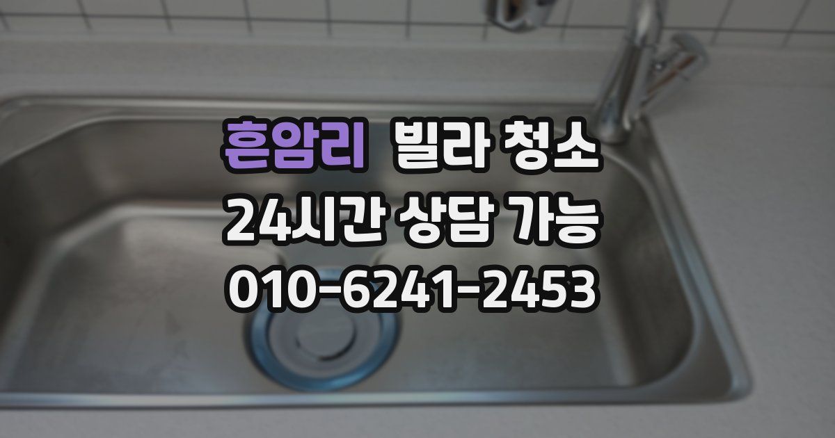 흔암리 빌라 청소