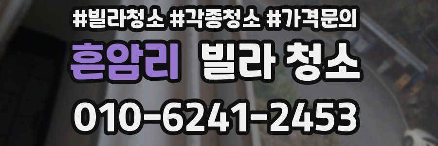 흔암리 빌라 청소