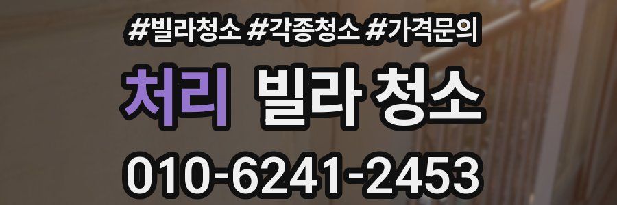 처리 빌라 청소