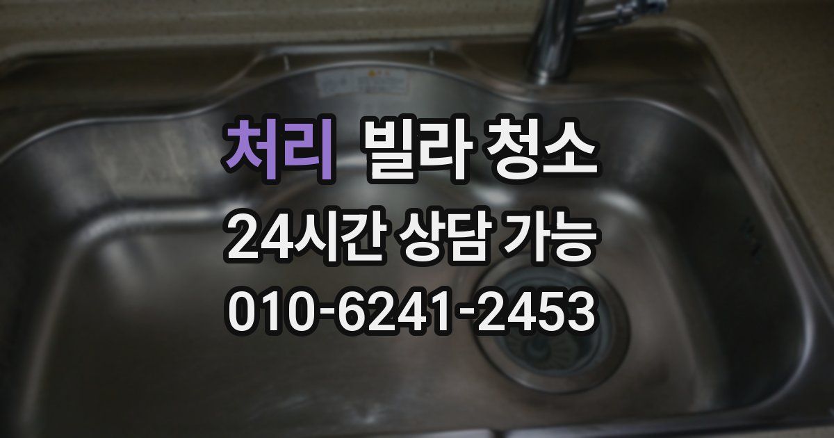 처리 빌라 청소