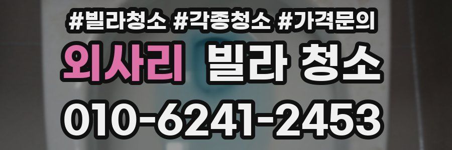 외사리 빌라 청소