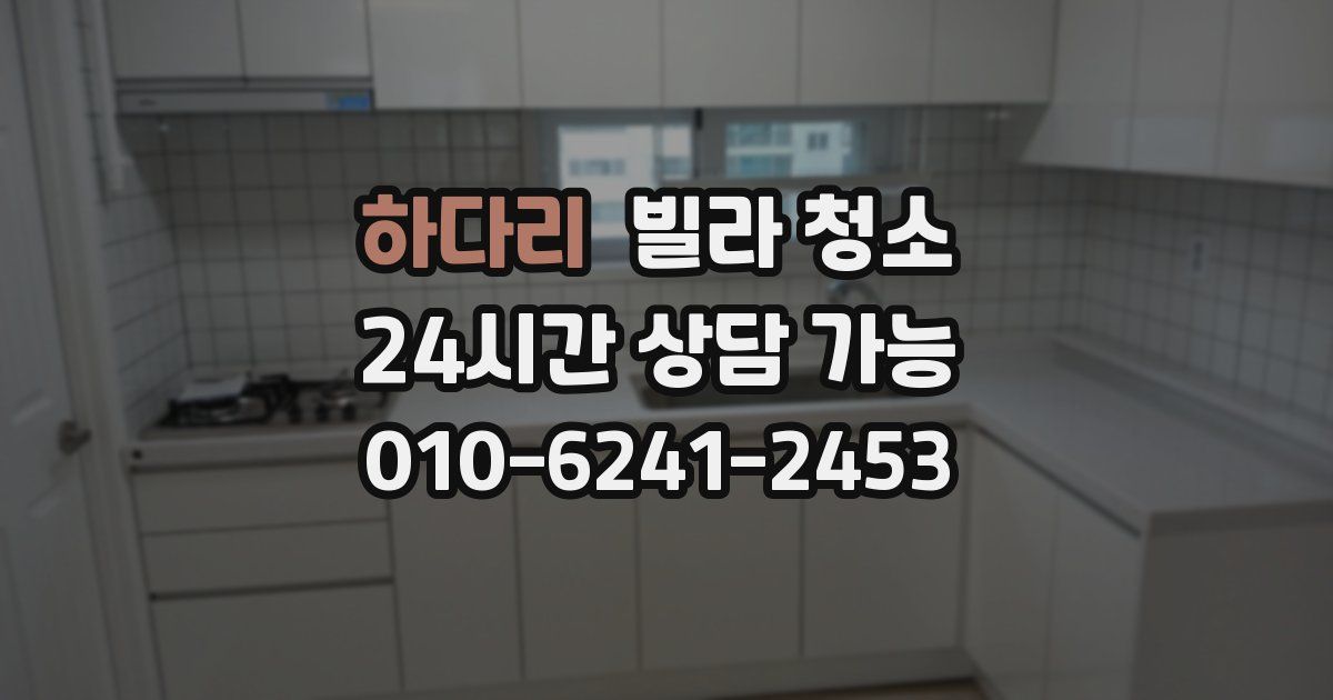 하다리 빌라 청소