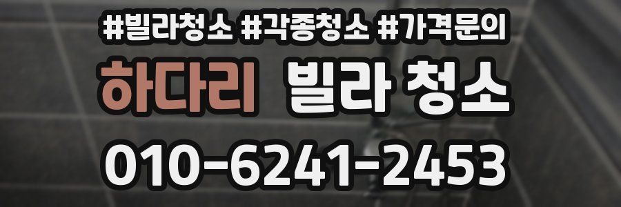 하다리 빌라 청소