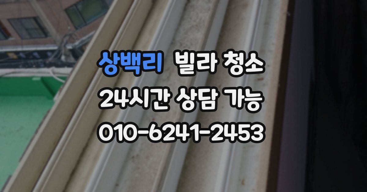 상백리 빌라 청소