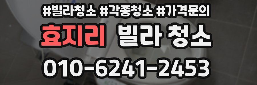 효지리 빌라 청소