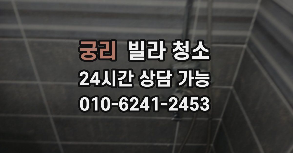 궁리 빌라 청소